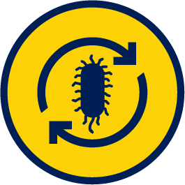 Bacteria icon
