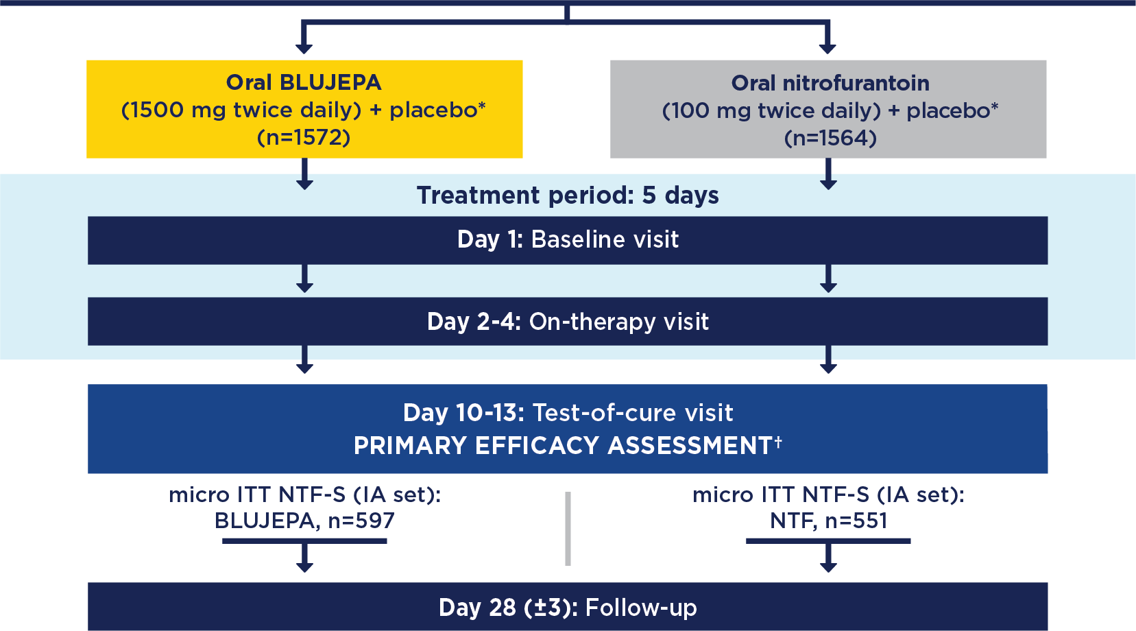 BLUJEPA Trial Design Diagram Trial design diagram showing two clinical trials comparing oral BLUJEPA to oral nitrofurantoin over a 5-day treatment period with primary efficacy assessment